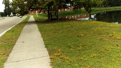 Walmart underground tunnels... What to look for.