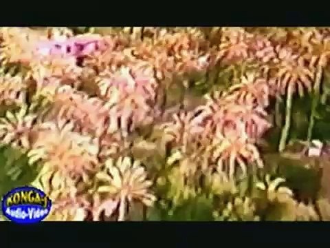 Cartas Amarillas - Nino Bravo