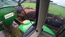 Feeding the cows in the feed pad during rain storm.