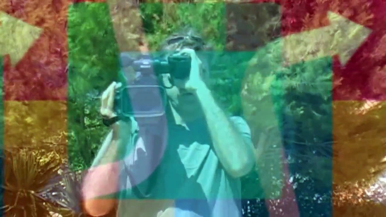 Bolonha, a cidade dos pórticos!