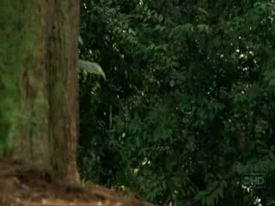 LOST-la mort d'eko