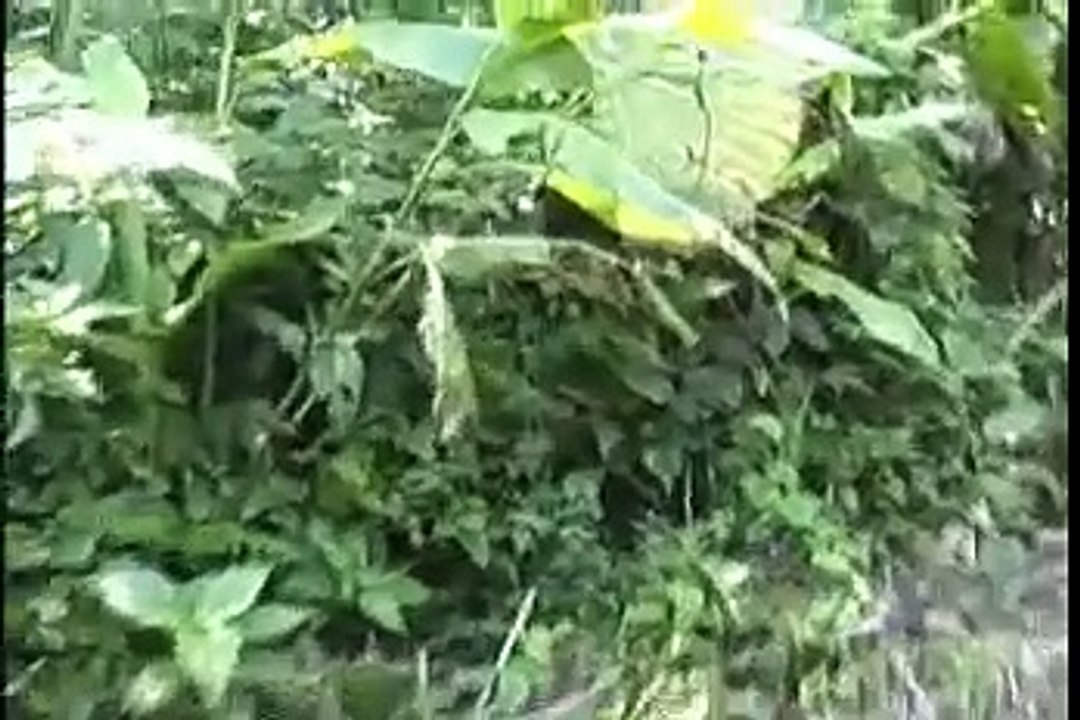 E-Explorer Episode 2