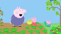 Свинка Пеппа (Сезон 1. Эпизод 37) | Peppa Pig russian