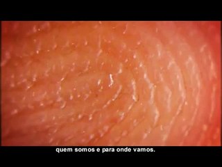 Eleições 2010 - Identificação Biométrica