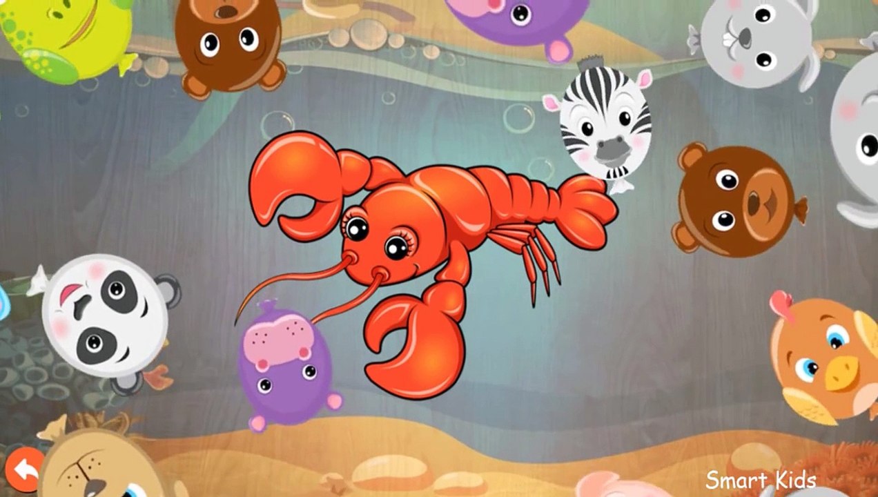 We teach animals | Marine life | Animals for children | Marine inhabitants