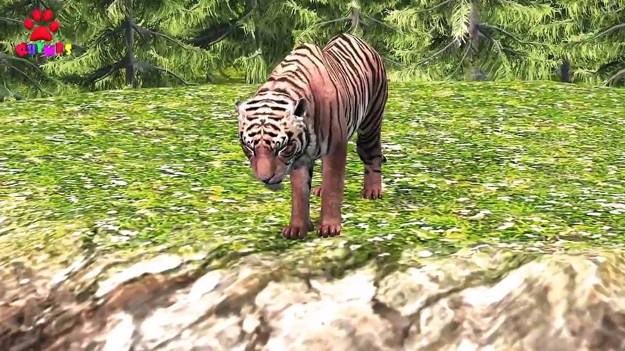 Tiger Finger Family Nursery Rhymes 3D | 3D Finger Family Songs for Children