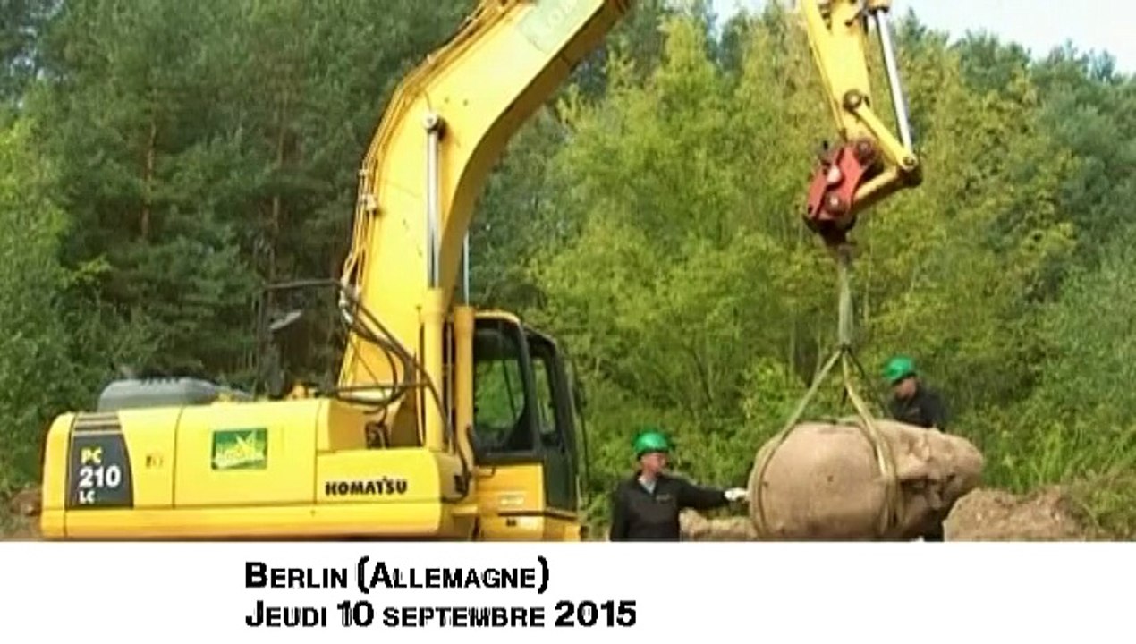 Allemagne : une tête géante de Lénine disparue depuis plus de vingt ans déterrée près de Berlin