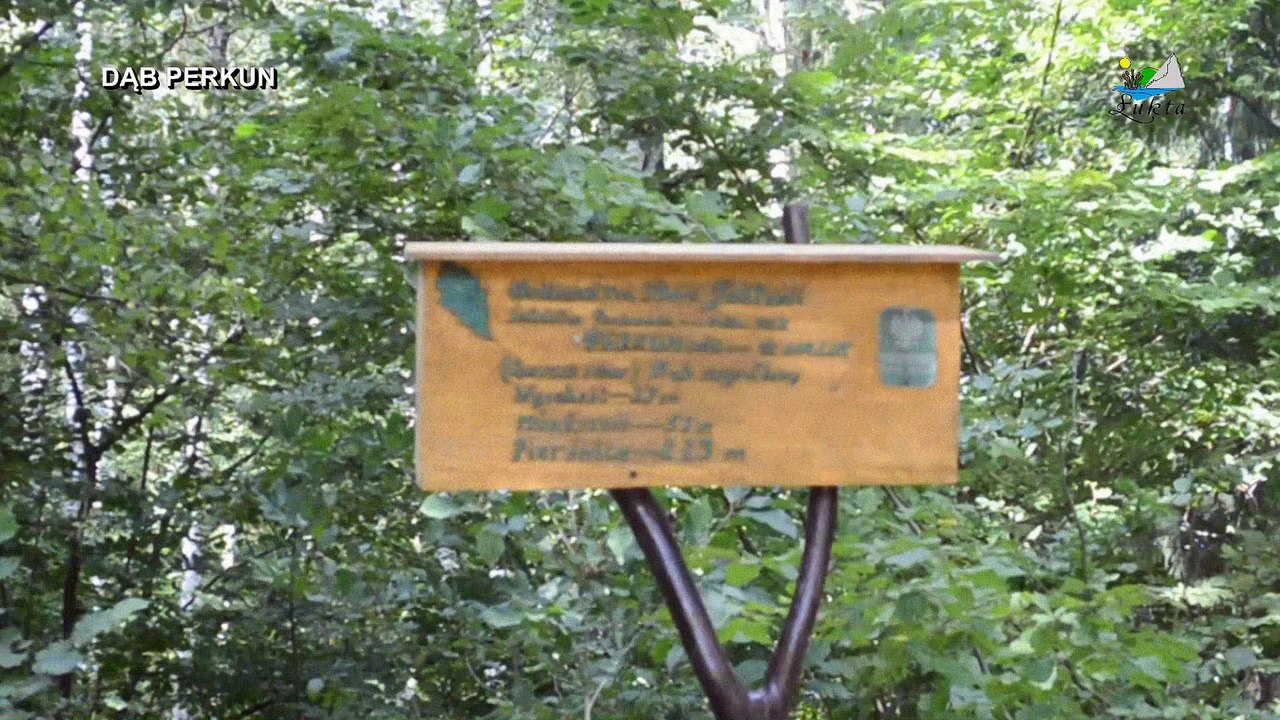 Łukta - krótka wycieczka po gminie