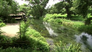 Песня воды / Water Song