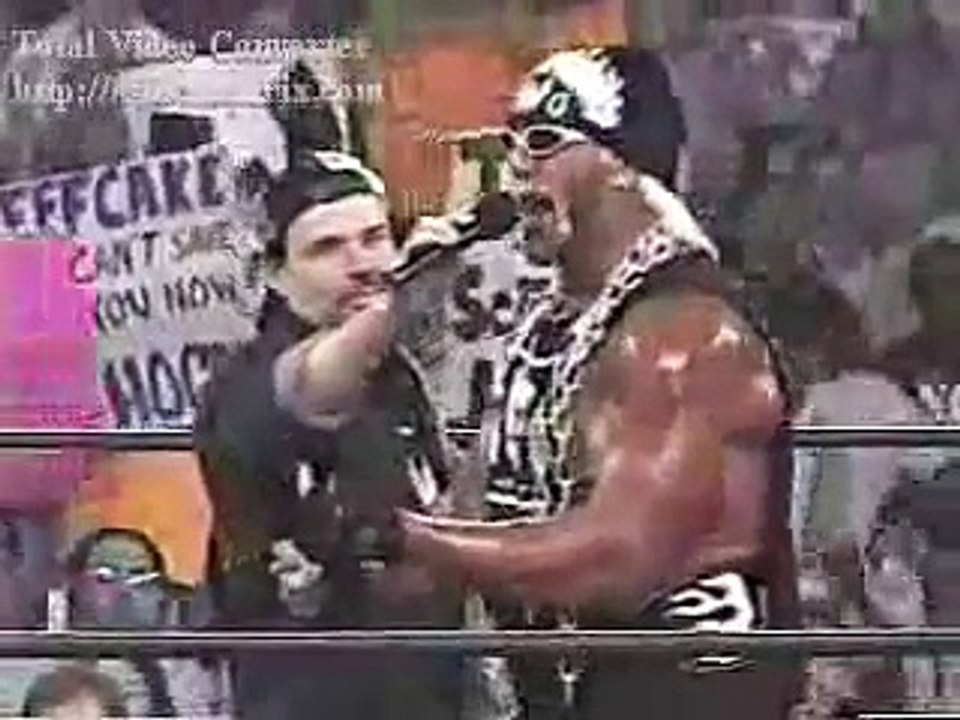 nWo Hollywood Hogan comes home