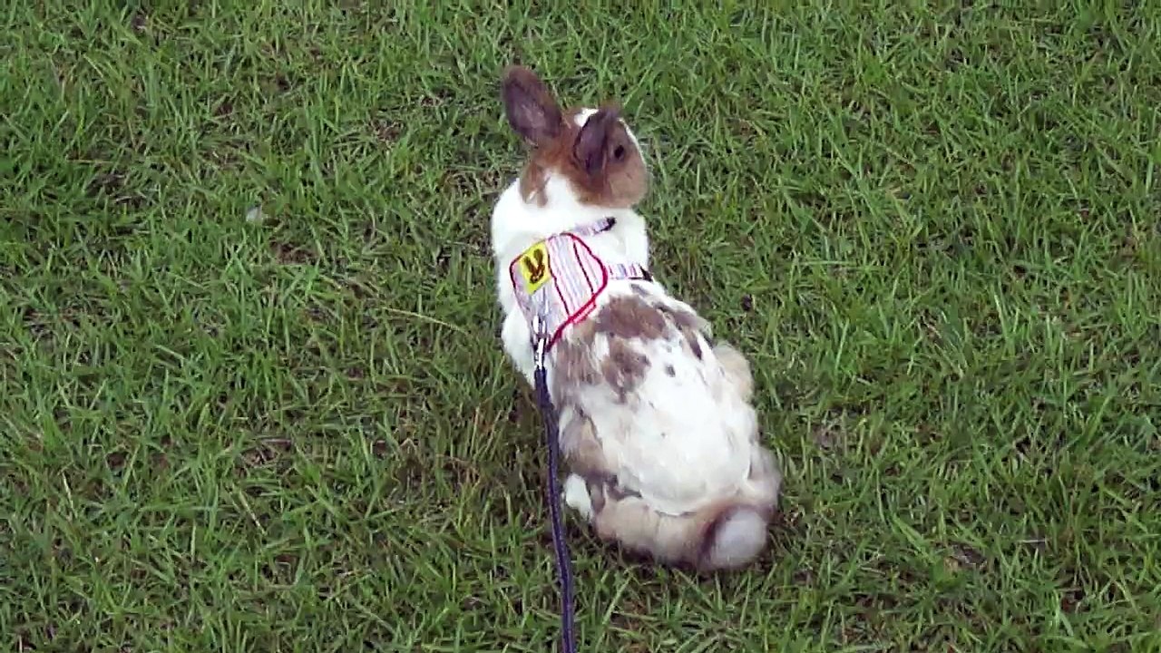 100.10.16 溜兔囉!寶寶篇