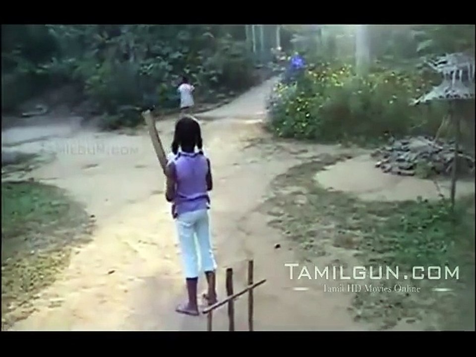 dog playing cricket