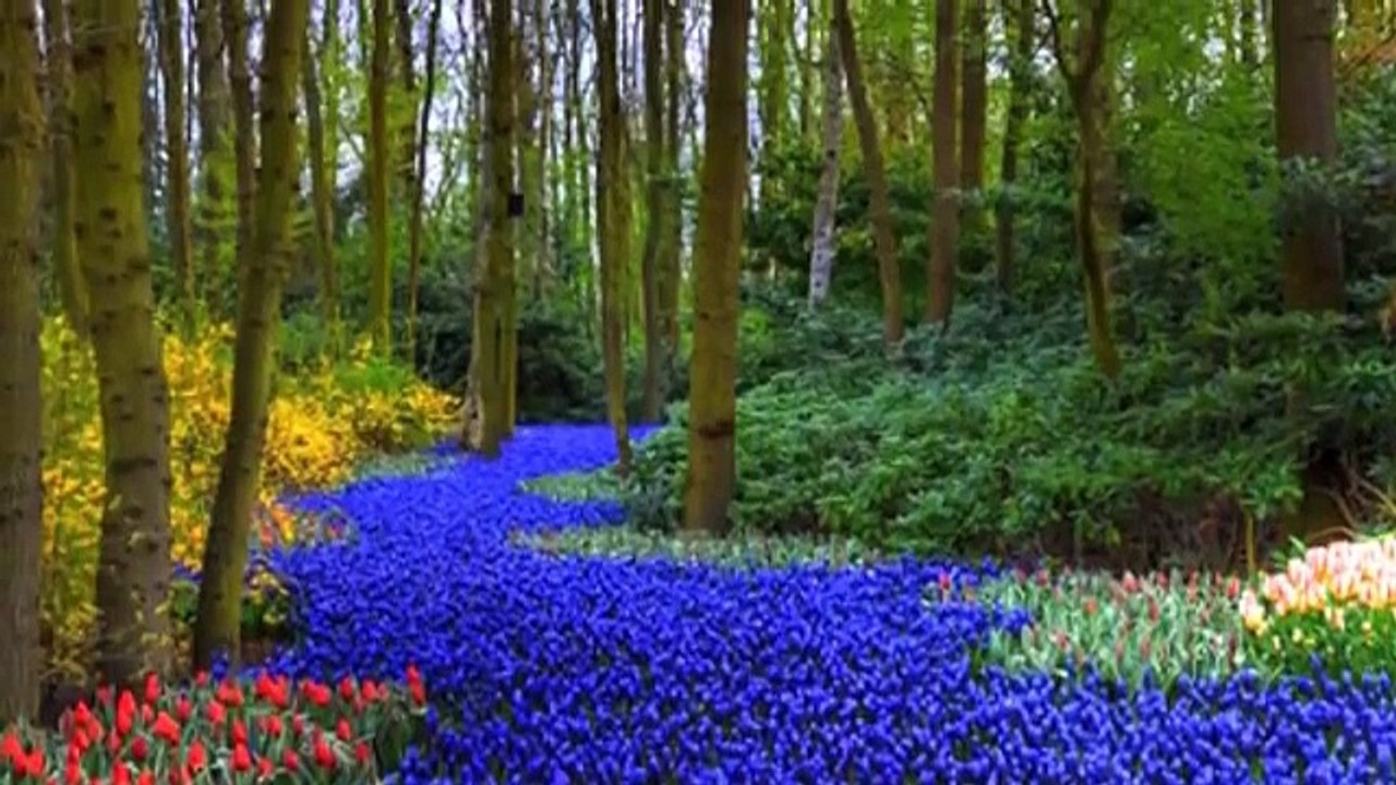 Nalan Altinors Beklenen Sensin