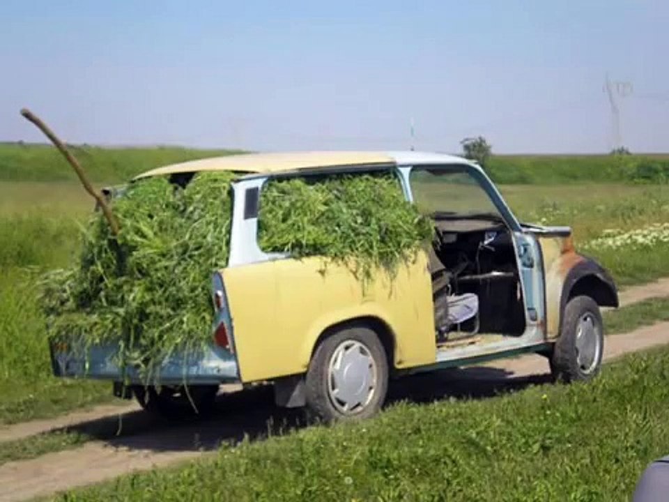 САМО В БЪЛГАРИЯ