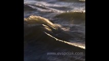 Sculptured by tides - Abstract Photography by Eva Polak