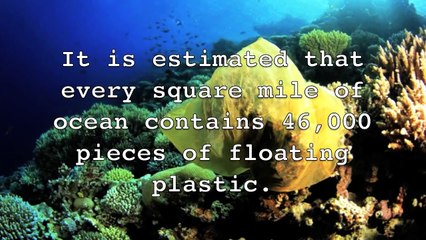 Environmental Advocacy video