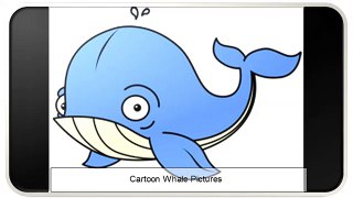 Cartoon Whale Pictures