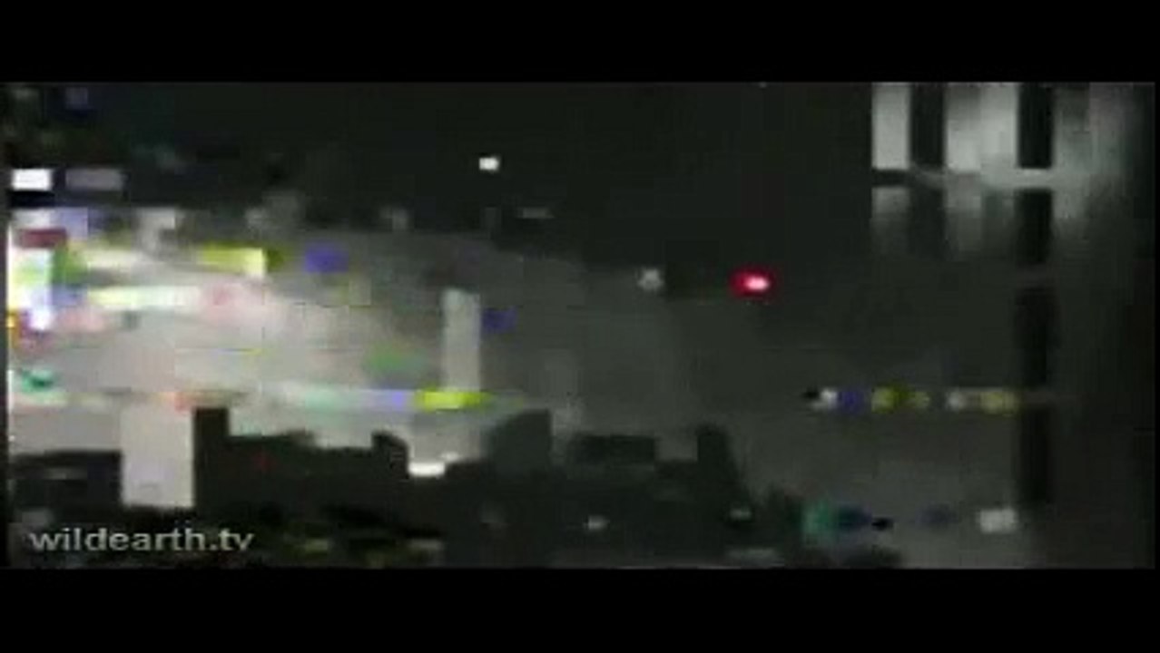 Styx Pride of Lions with Cubs 04/26/09 - 4  WildEarth