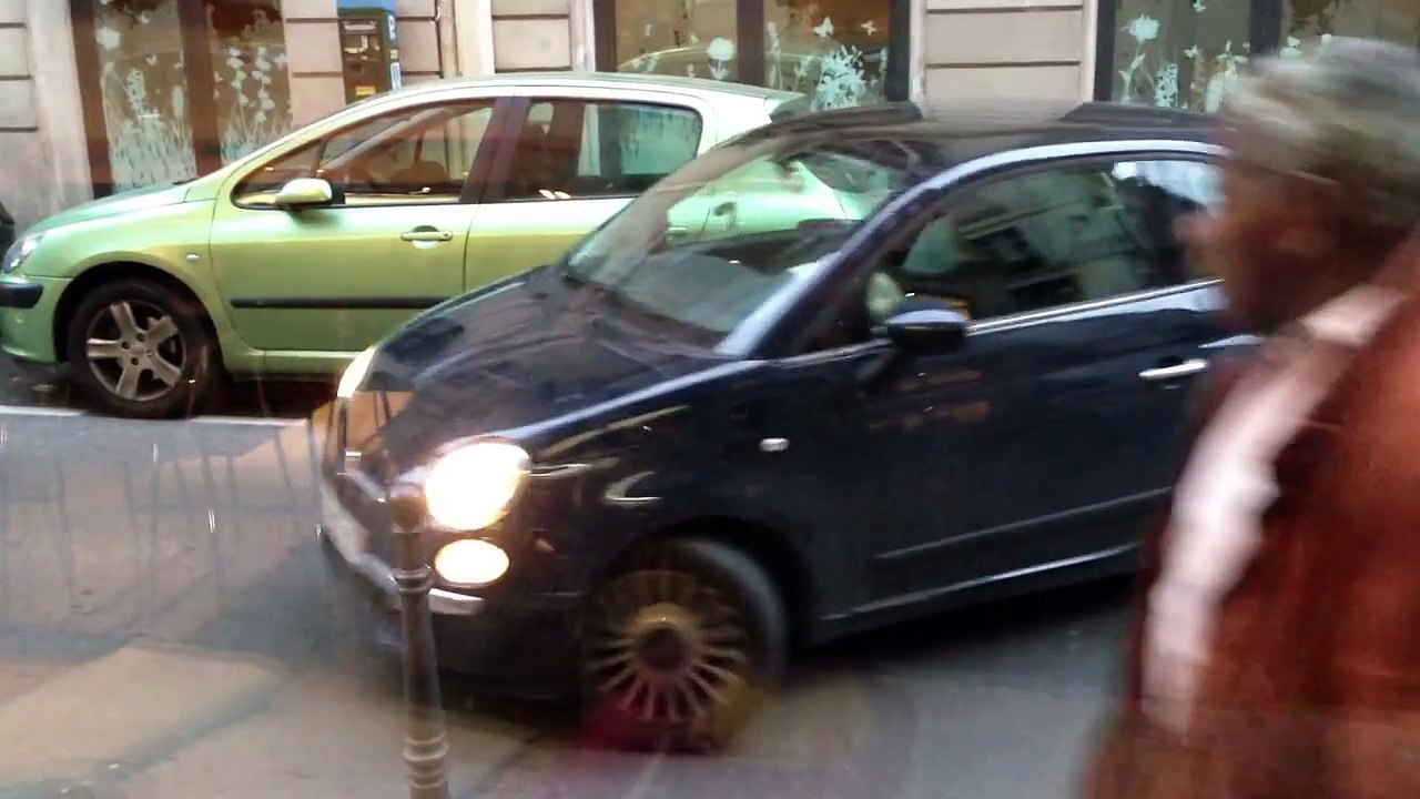 프랑스의 흔한 김여사 주차 실력