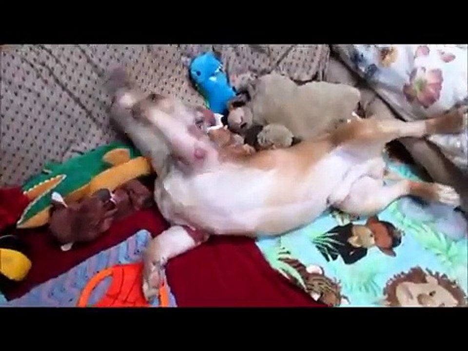 Vinnie Van Gogh Update~ Feb. 16th
