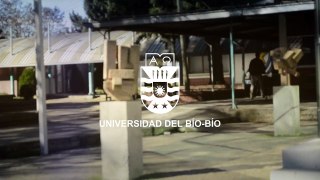 Testimonios, Escuela de Diseño Gráfico UBB