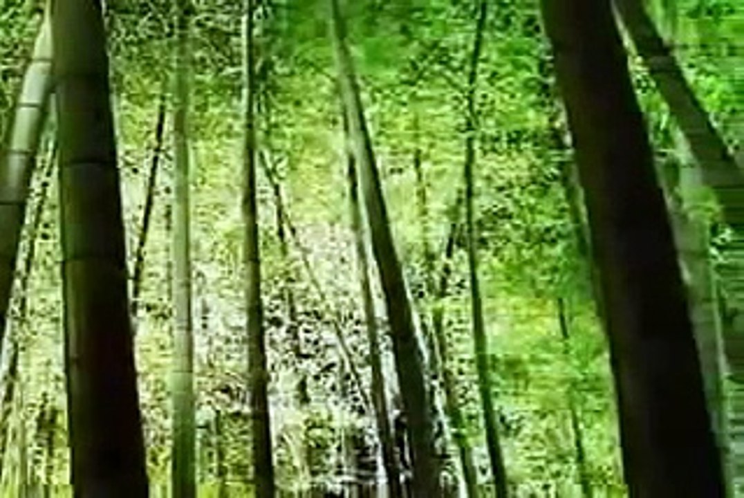 Shinto Documentary - Part 1
