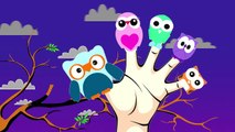 OWL Finger Family   Songs For Kids   Surprise Eggs Animation for Children   Nursery Rhymes