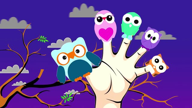OWL Finger Family Songs For Kids Surprise Eggs Animation for Children Nursery Rhymes