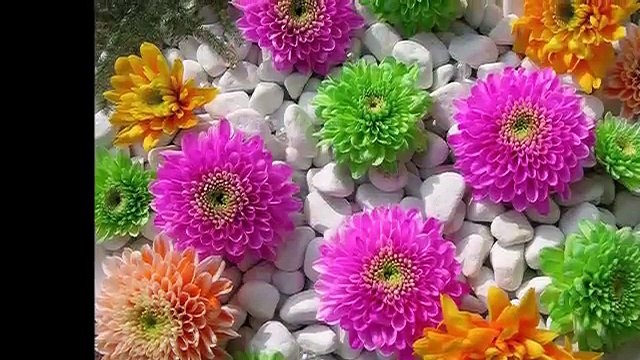 Adnan Mungan O Ahu Bakışlara Bir Anda Kandın Gönül