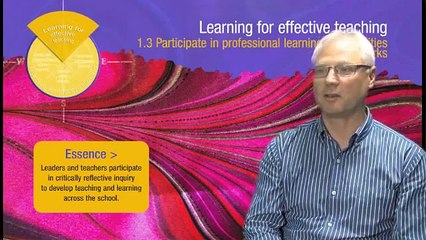 Leading learning - leaders' perspectives