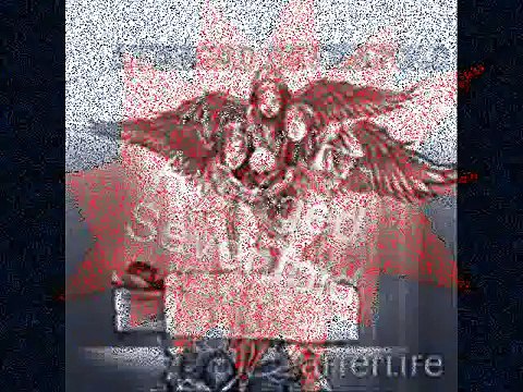 Afterlife-Avenged Sevenfold [Lyrics]