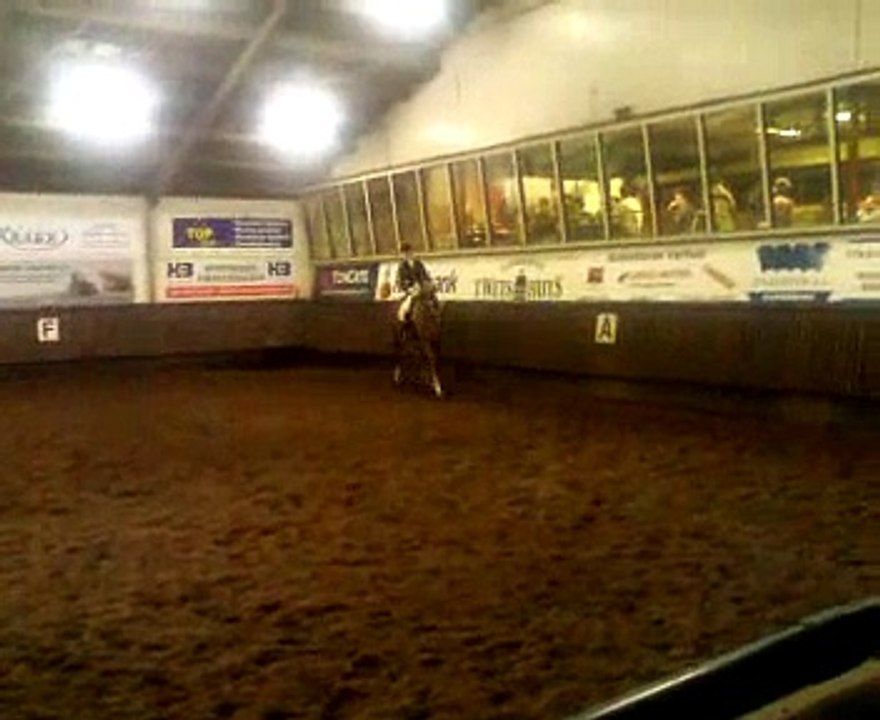 dream of glory x alabaster 6 jaar