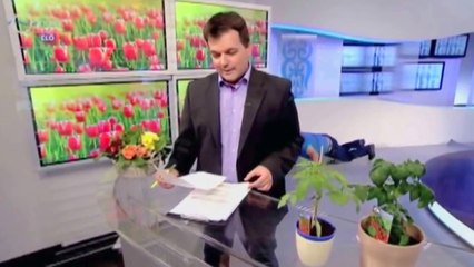 Funny Videos Try Not To Laugh Challenge Funny Pranks Funny Bloopers Funny Fails