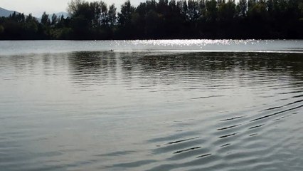 152 VO Spitfire made in roussillon