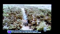 Wild camels a problem in outback Australia.