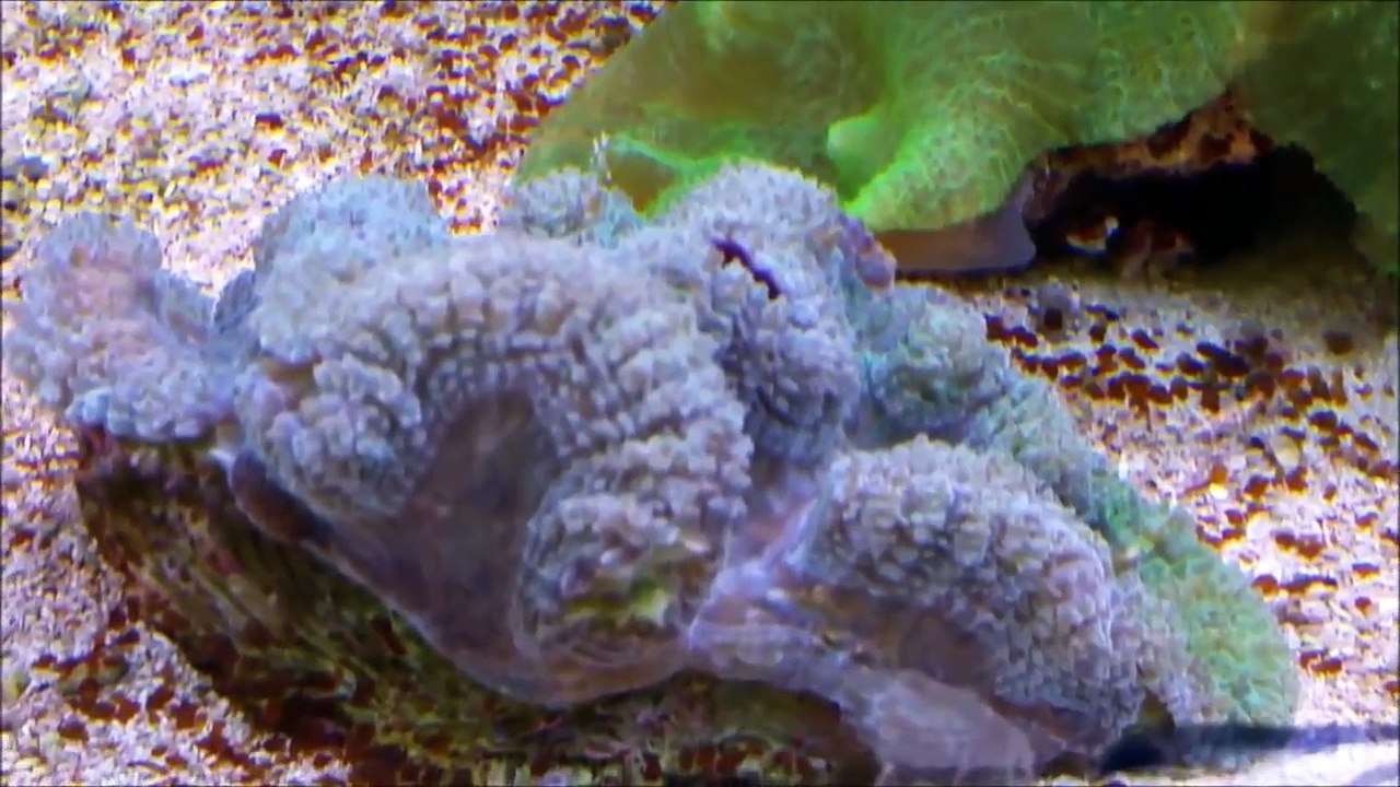 A Trip to World Class Aquarium in Brooklyn