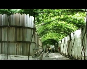 Coahuila Turismo - Las Mejores Locaciones estan en Coahuila