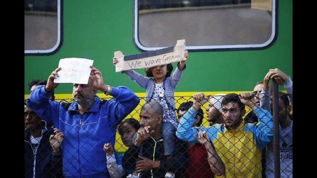 Грязь и мусор: 10 фотографий последствий миграционного кризиса в ЕС