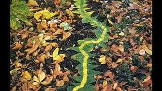 Masters of Photography, Andy Goldsworthy, British