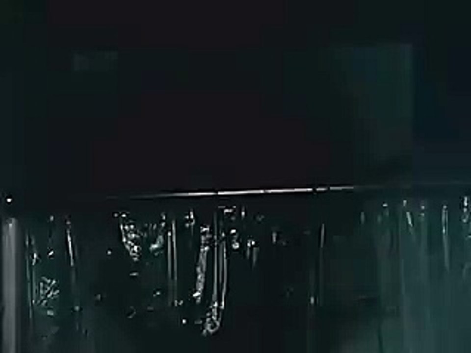 Alien Vs Predator (Shower)
