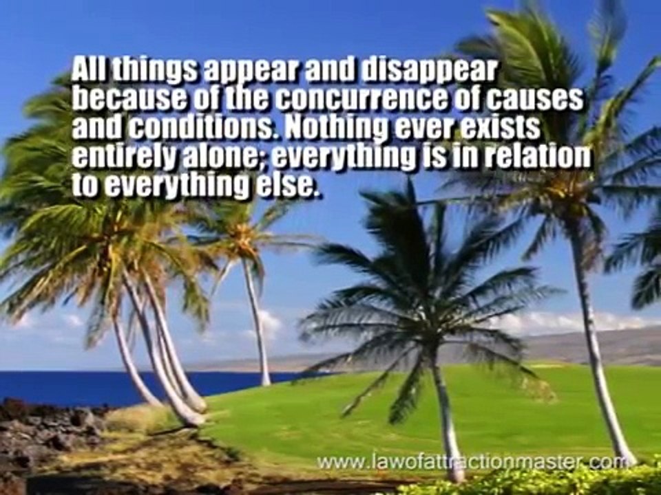 The Wisdom of Buddha - HD