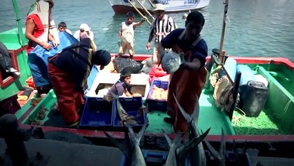 Día Mundial de los Océanos