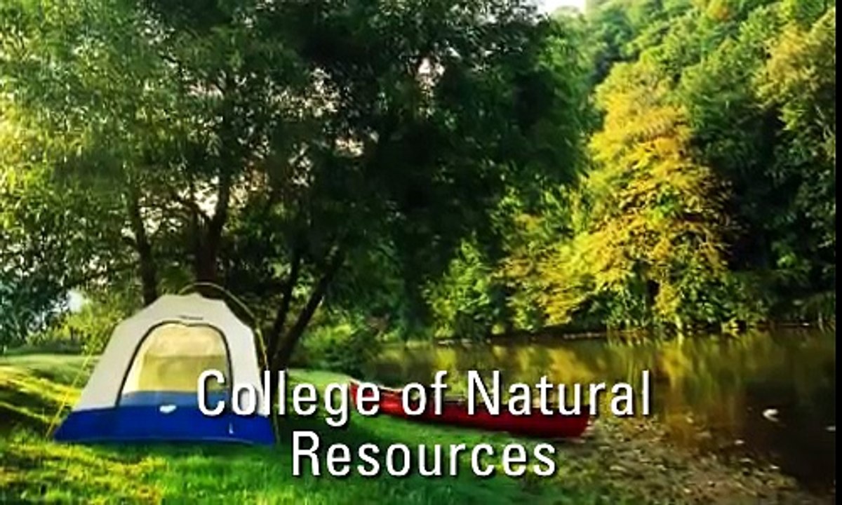 NCSU College of Natural Resources Information