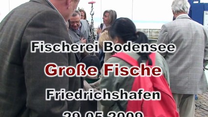 20090529 Bodenseefischerei Friedrichshafen Lake Constance fisheries