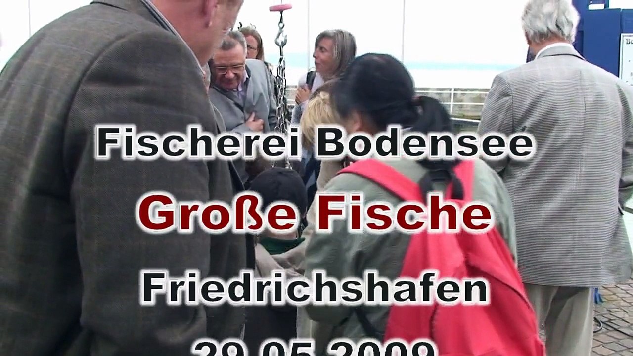 20090529 Bodenseefischerei Friedrichshafen Lake Constance fisheries