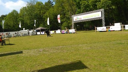 Animal Event @ Beekse Bergen 10-05-2015 Doggy Dance