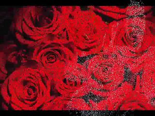 Meinem Baby zum Geburtstag!