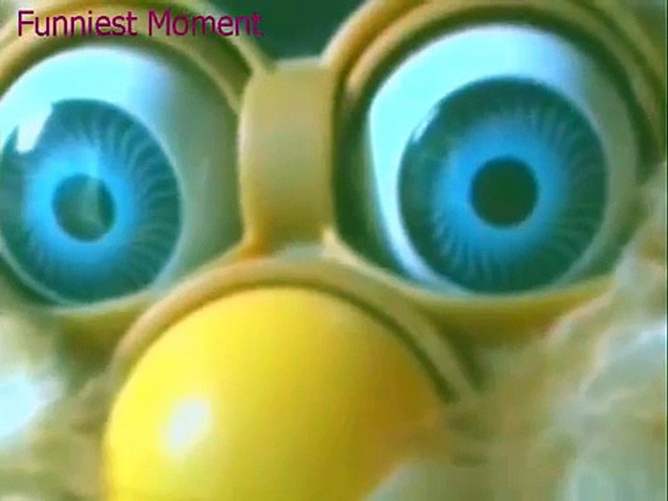 Dog attacks 2 furby SO funny