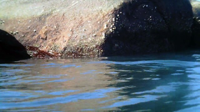 Passeio ao Ubatuba na praia da Enseada, Litoral Norte de São Paulo, Brasil, SUP, em pets reciclados
