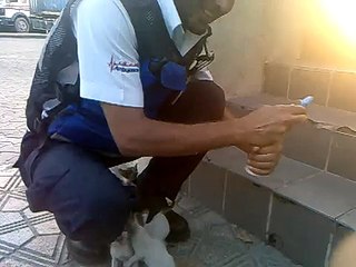 اسعاف دبي . جانب الرفق بالحيوان